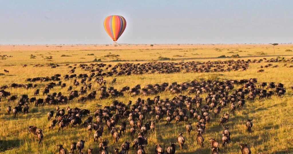 Kenya National Parks