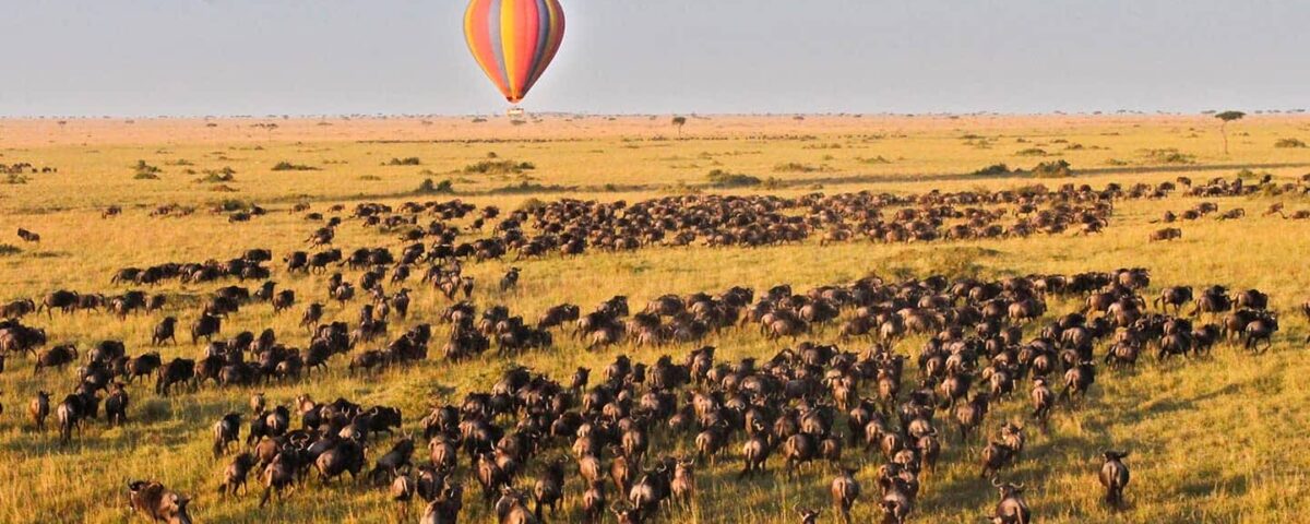 Kenya National Parks