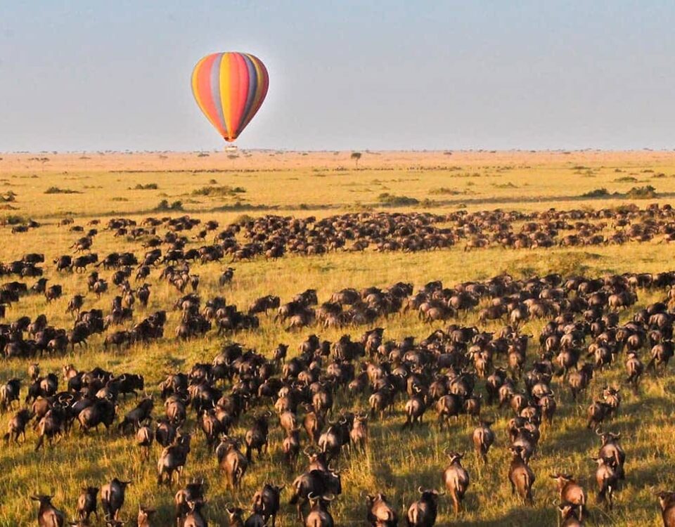 Kenya National Parks