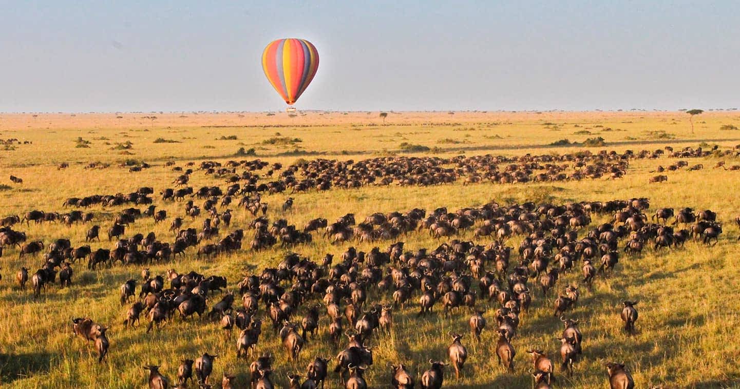 Mara National Reserve