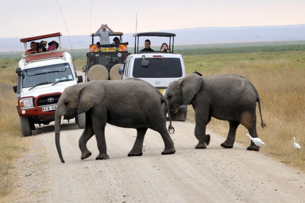 Amboseli-National-Park 7-Day Budget Kenya Wildlife Safari