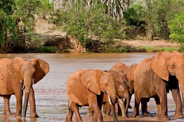 Tsavo East National Park Tsavo East National Park