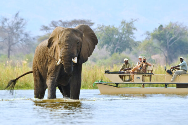 Banhine National Park8 7-Day Kenya Adventure Safari