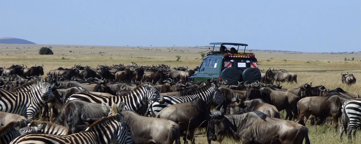 Great Migration