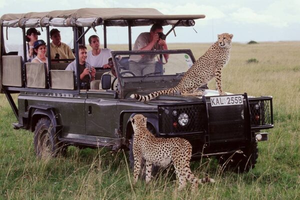 Maasai Mara National Reserve Maasai Mara National Reserve