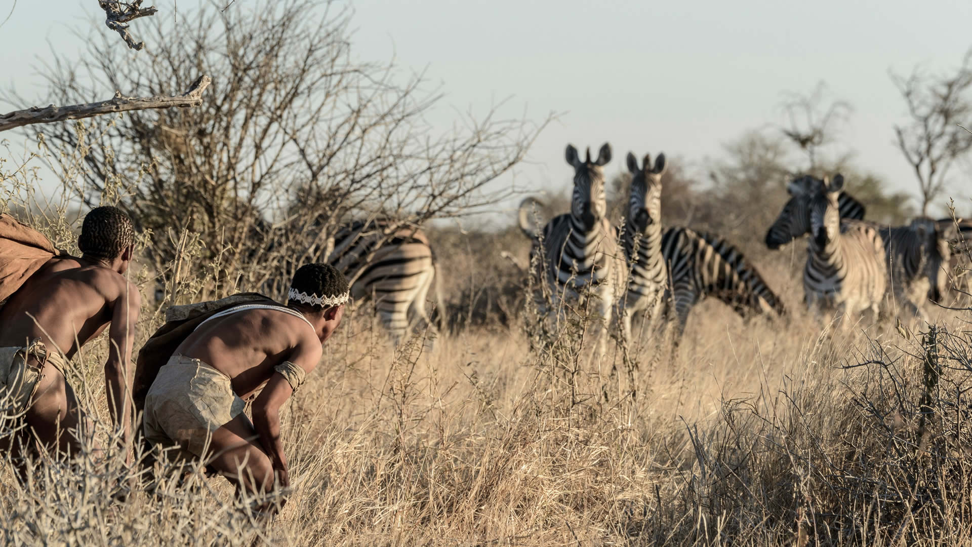 Serengeti Migration