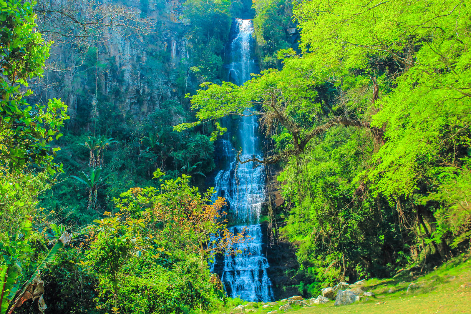 Quirimbas National Park