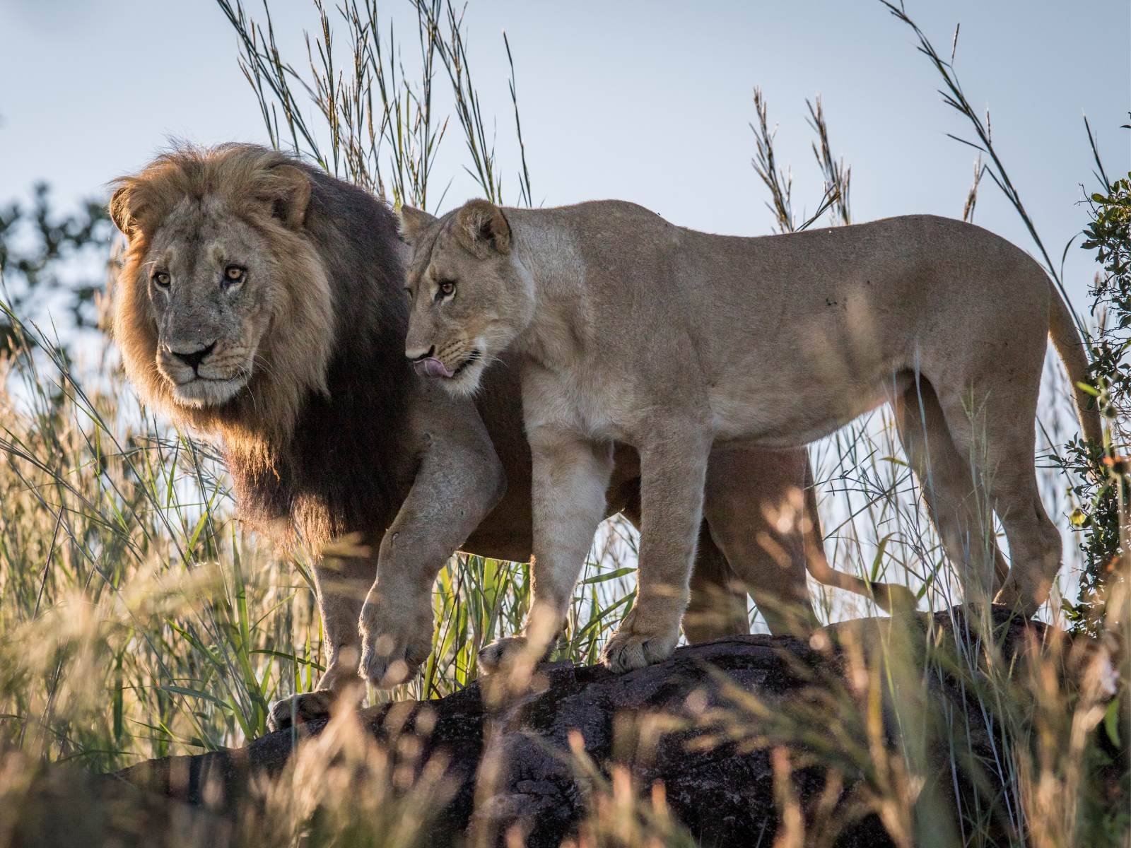Chobe National Park