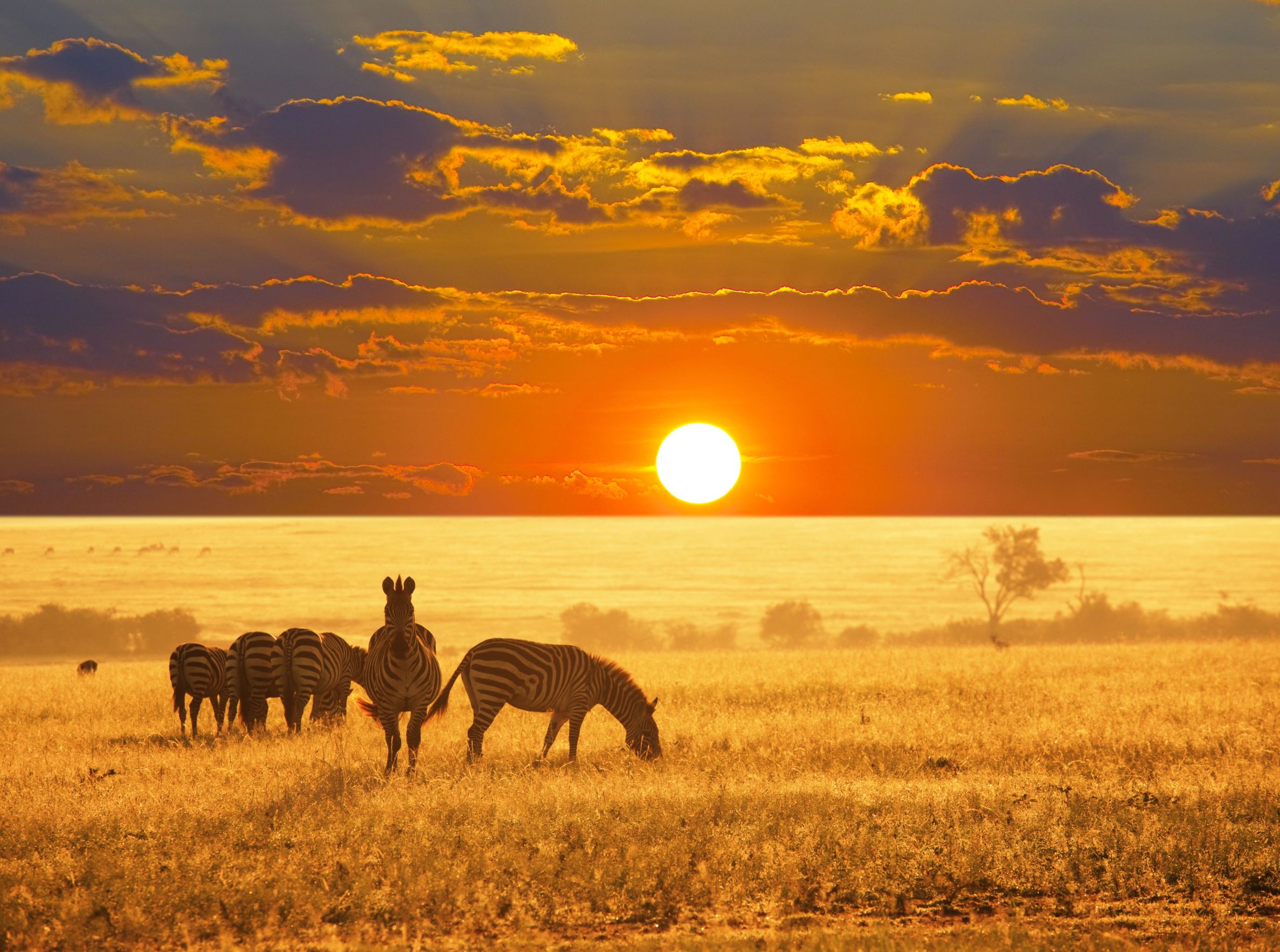 Etosha National Park