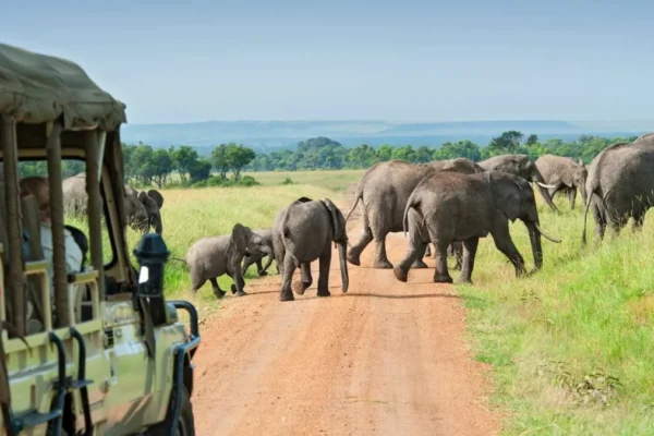 Murchison Falls