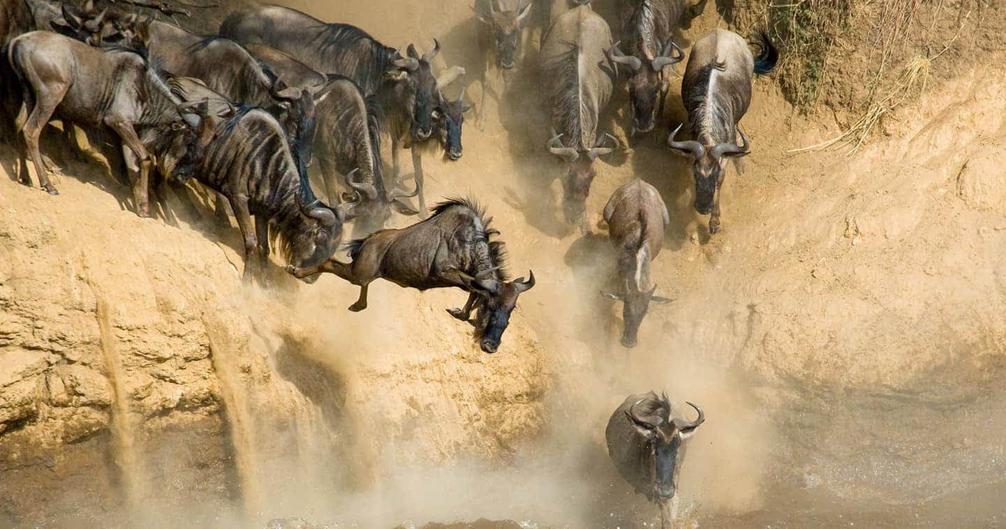 14-Day Great Migration & Zanzibar Beach
