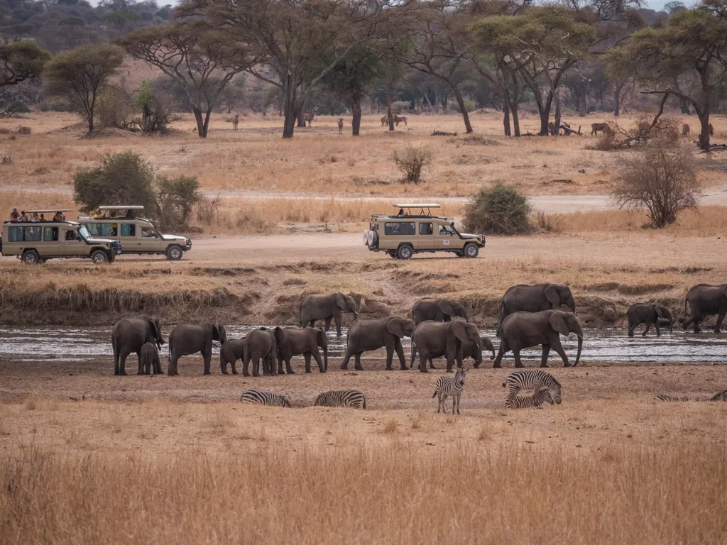 Tarangire National Park