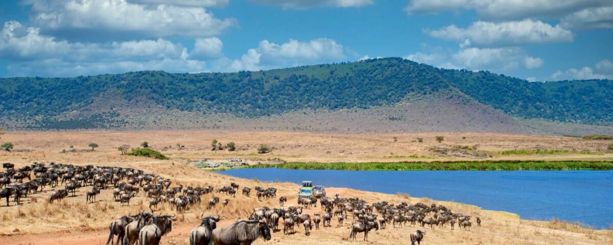 Ngorongoro Conservation Area