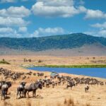 Ngorongoro Conservation Area