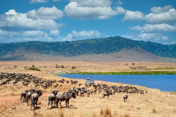 Ngorongoro Conservation Area