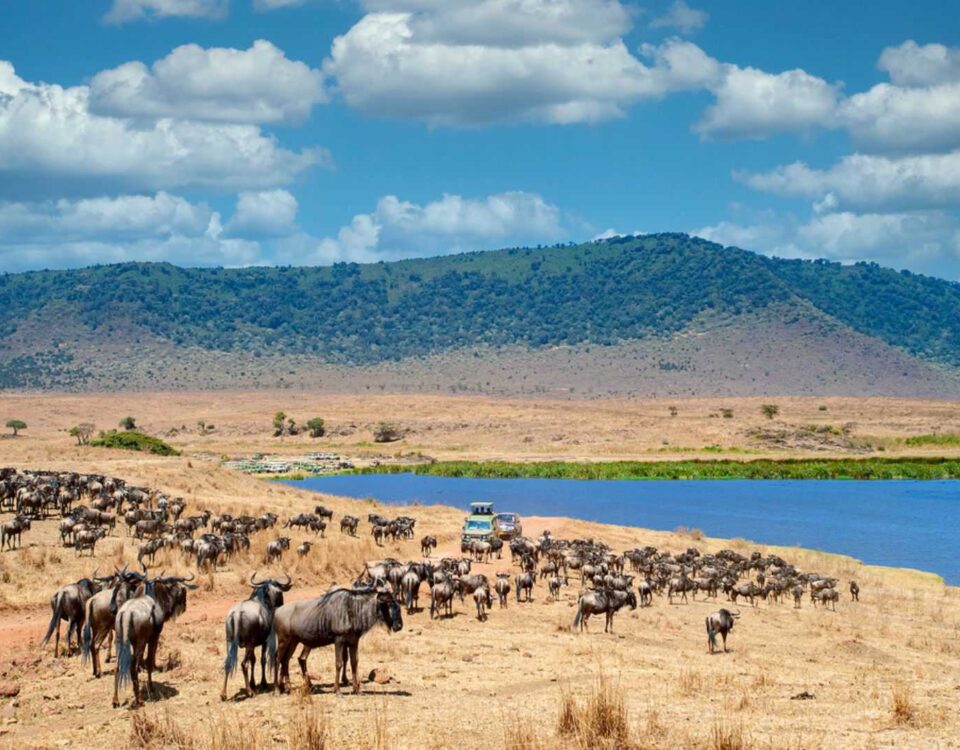 Ngorongoro Conservation Area