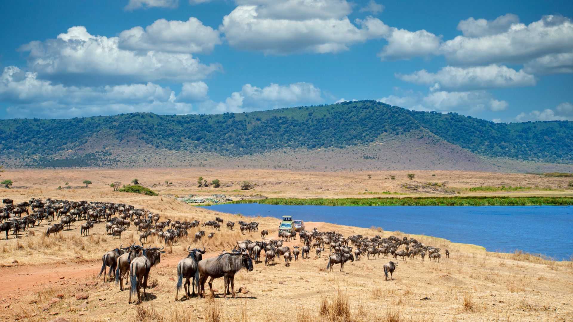 Ngorongoro Conservation Area