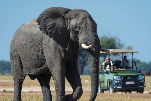 Hwange National Park Hwange National Park