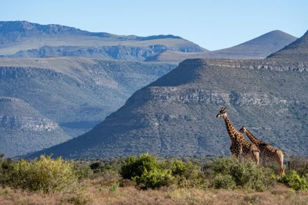 Karoo National Park