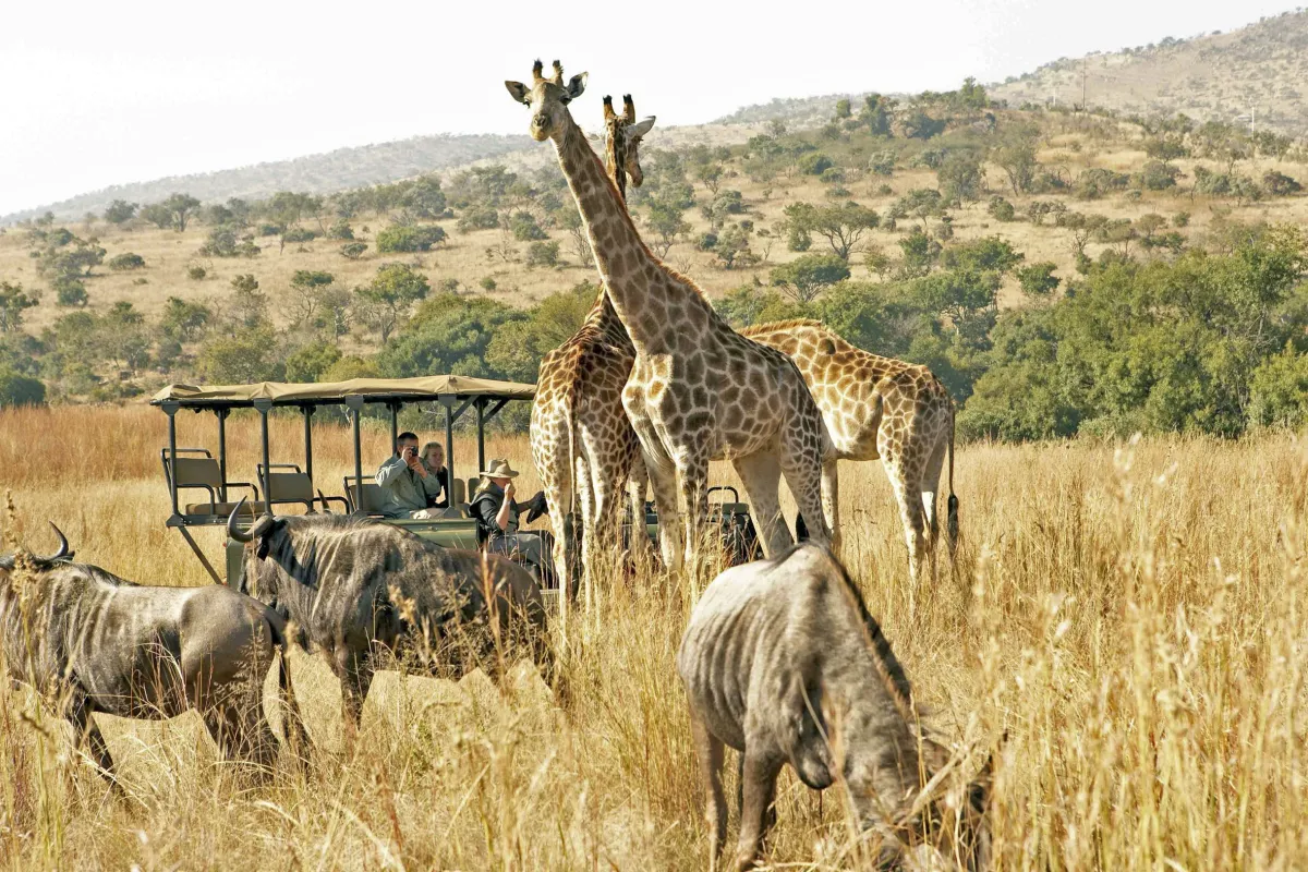 Karoo National Park