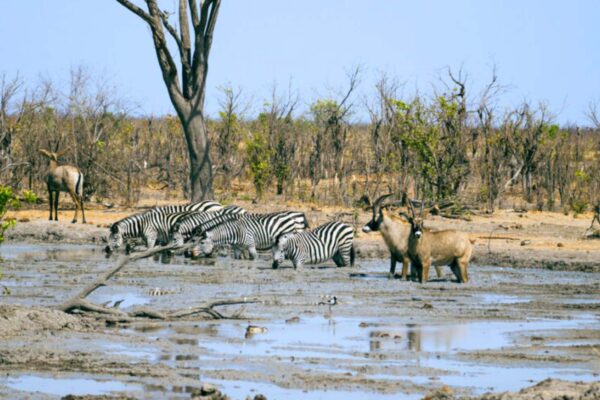 Kazuma Pan National Park Kazuma Pan National Park