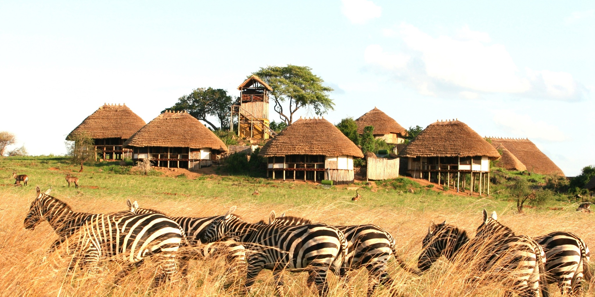 Kidepo Valley National Park