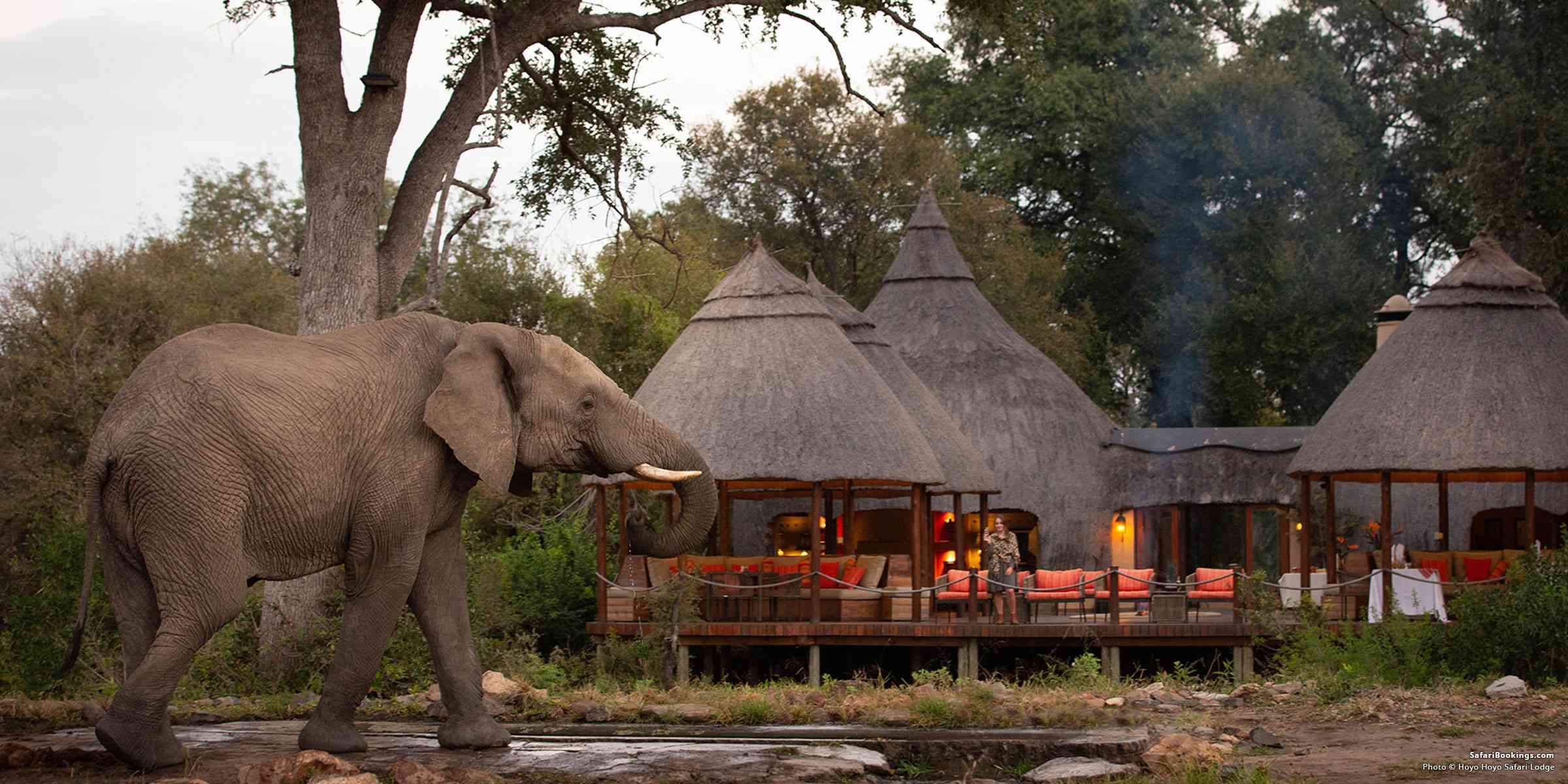 Safari Lodges- Kruger
