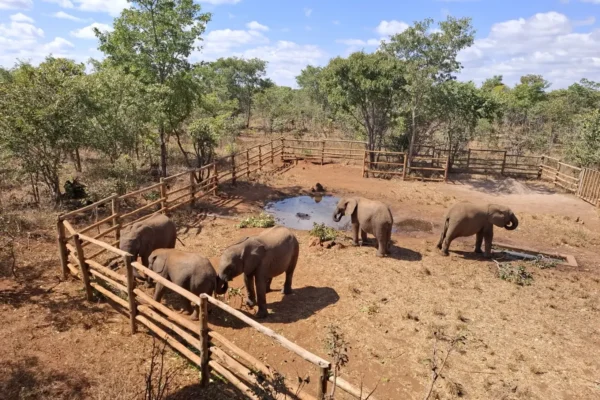 Lusaka National Park