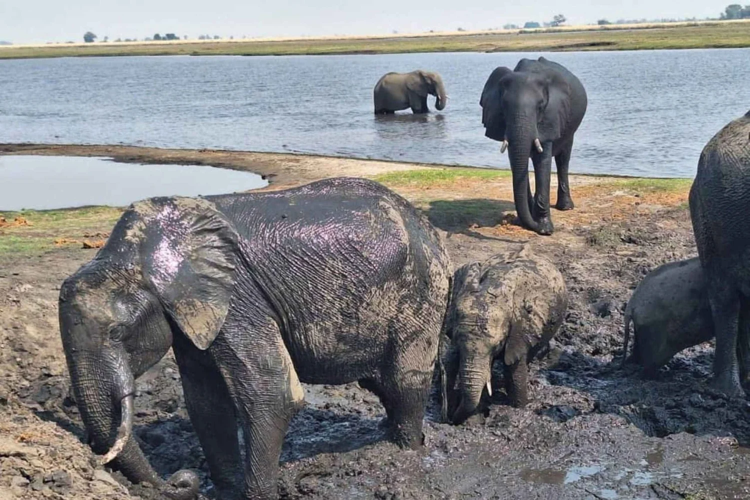 Kruger National Park