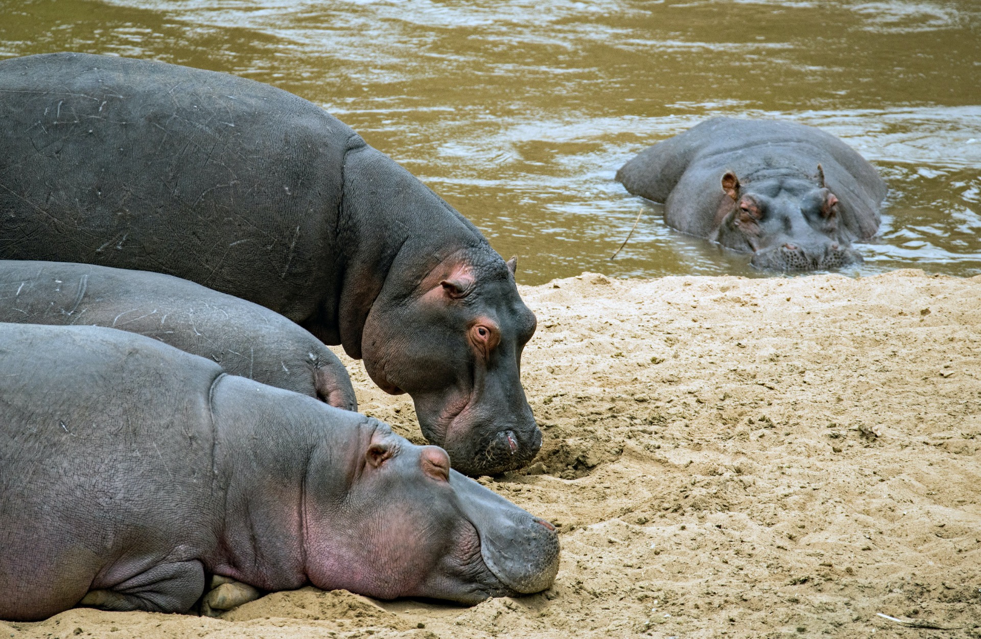 Magoe National Park