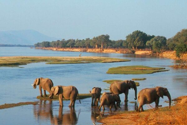 Mana Pools National Park Mana Pools National Park