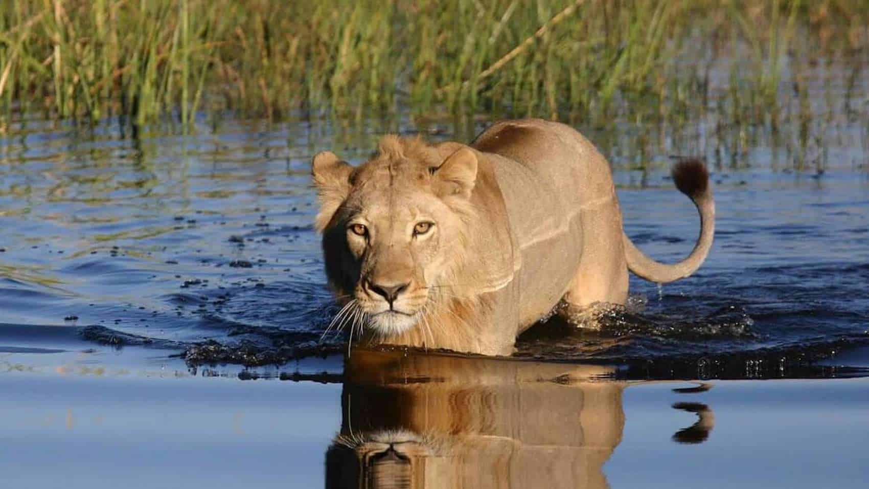 Mana Pools National Park