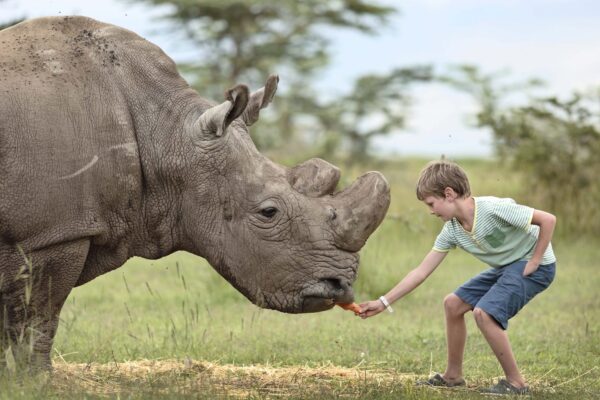 Ol-Pejeta-conservancy-1 6-Day Kenya Big Five Safari Holiday