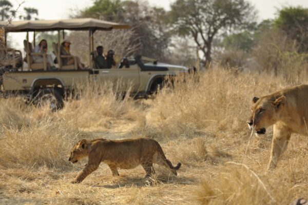 Ruaha National Park Ruaha National Park