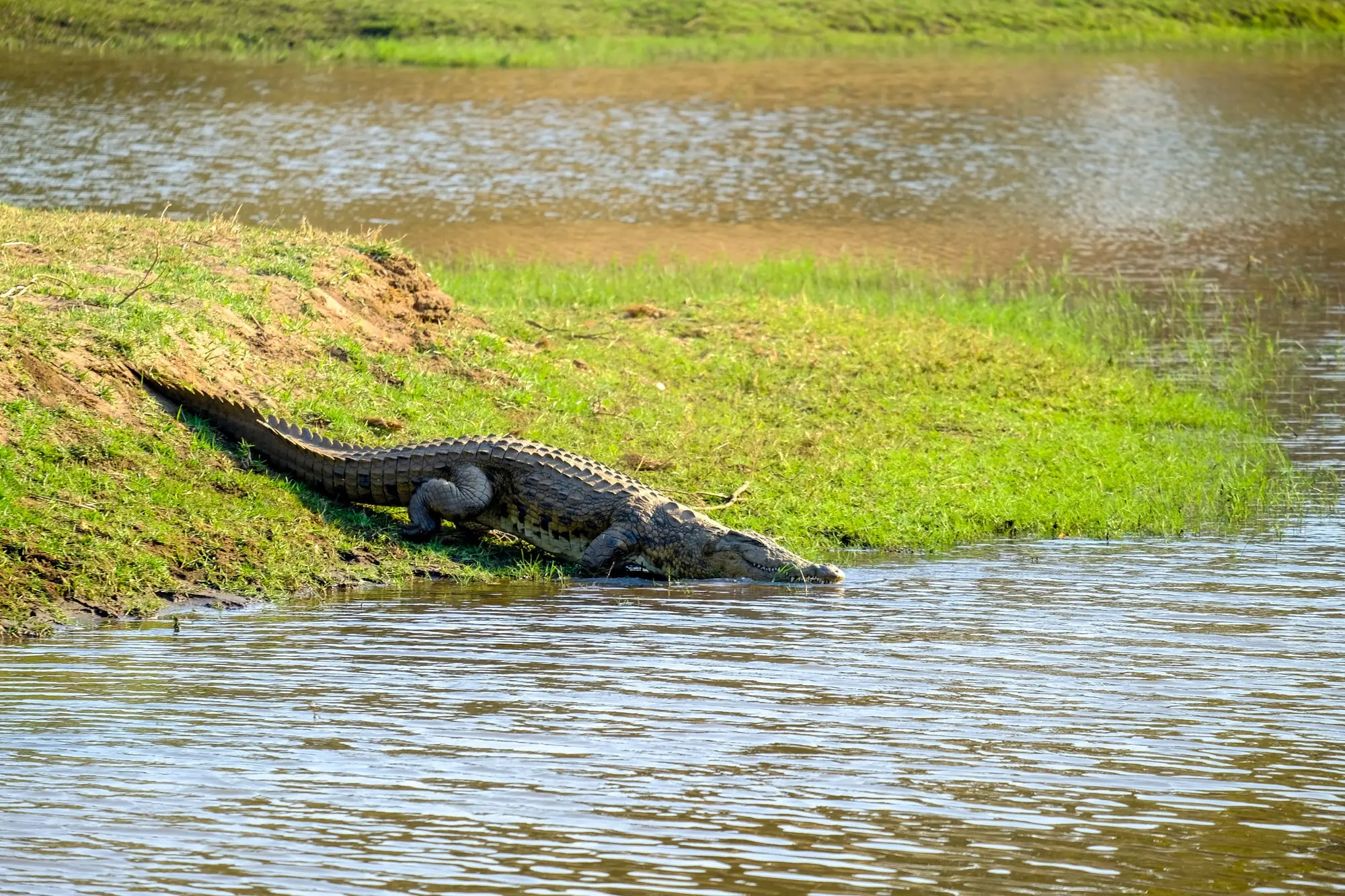 Ruvubu National Park
