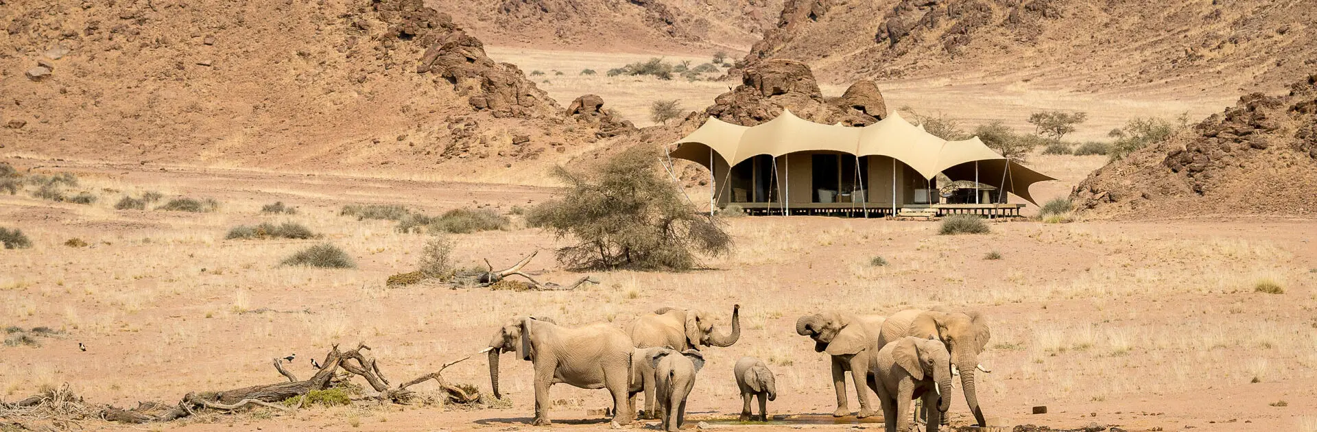Skeleton Coast National Park