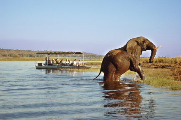 South Luangwa National Park2 South Luangwa National Park2