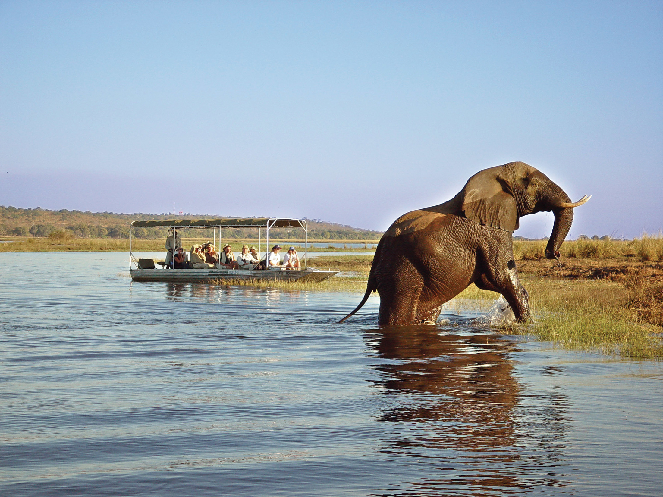 South Luangwa National Park