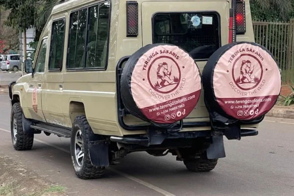 Terenga Safaris Ltd