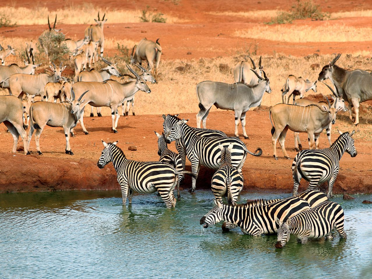 Tsavo East National Park
