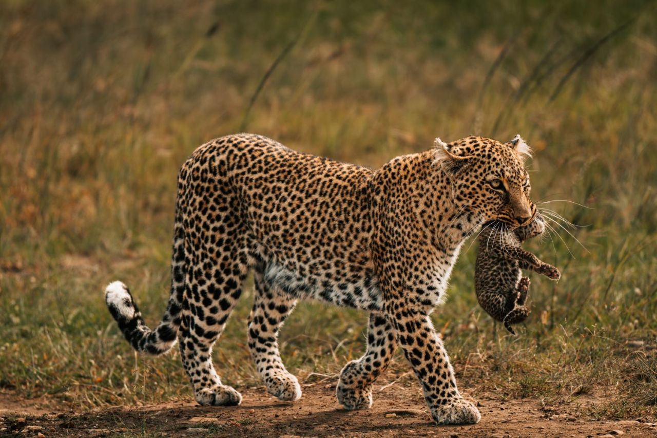 Tarangire National Park