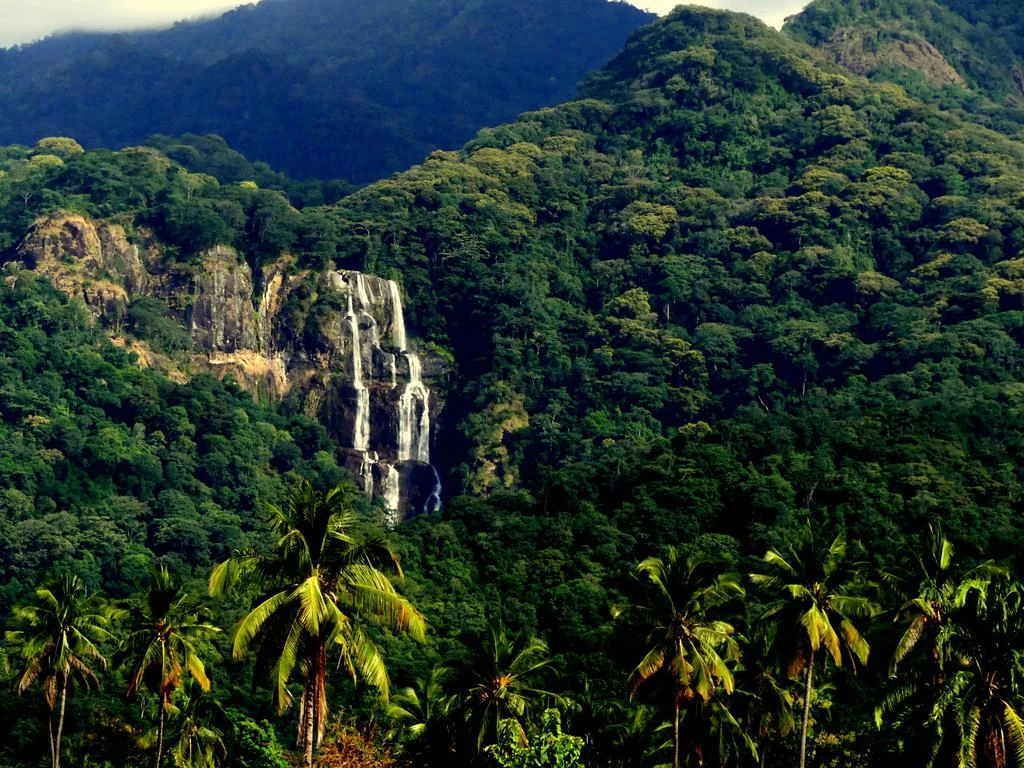 Udzungwa Mountains National Park