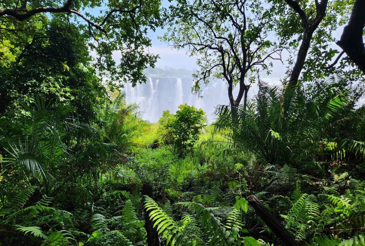 Victoria Falls National Park