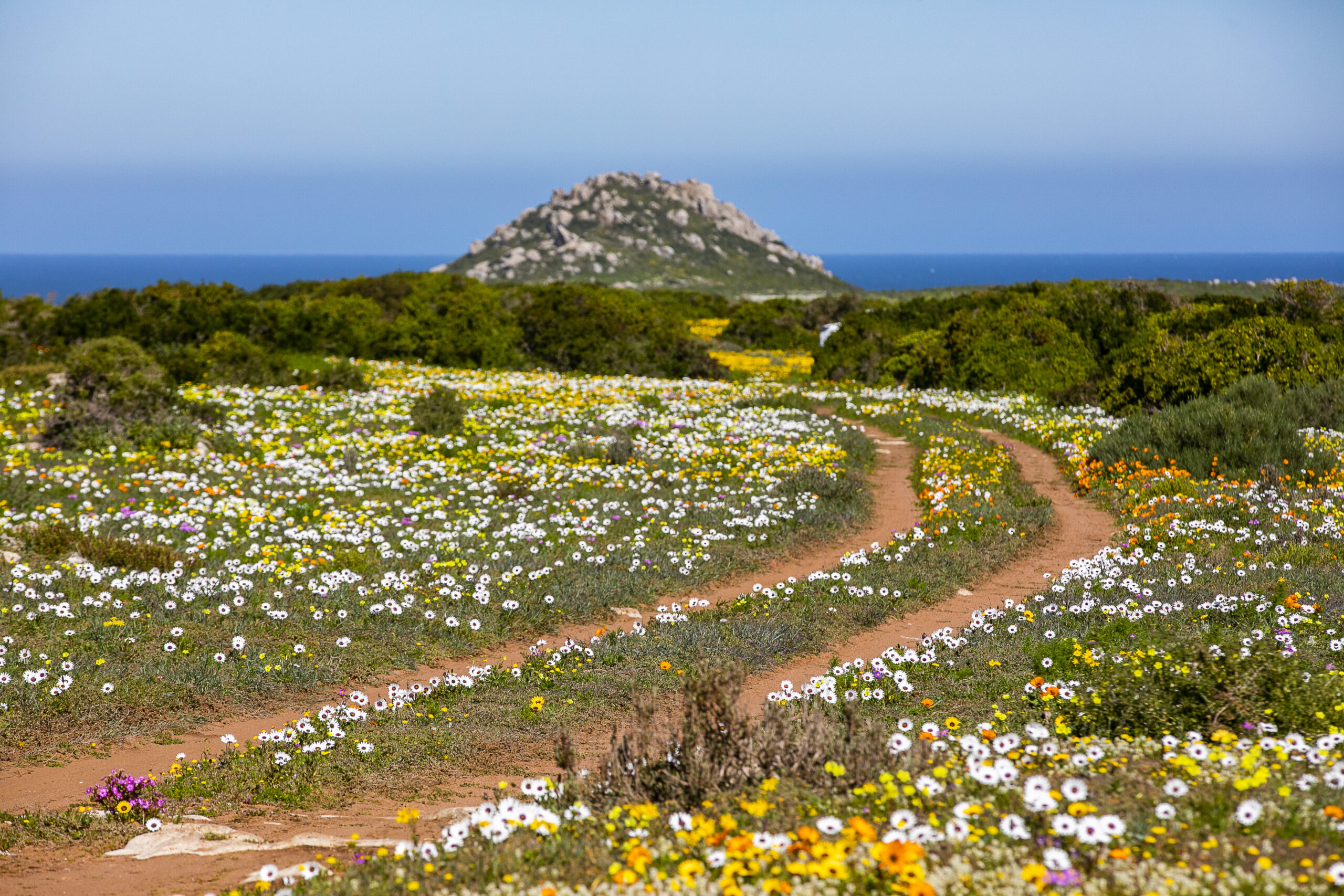 West Coast National Park