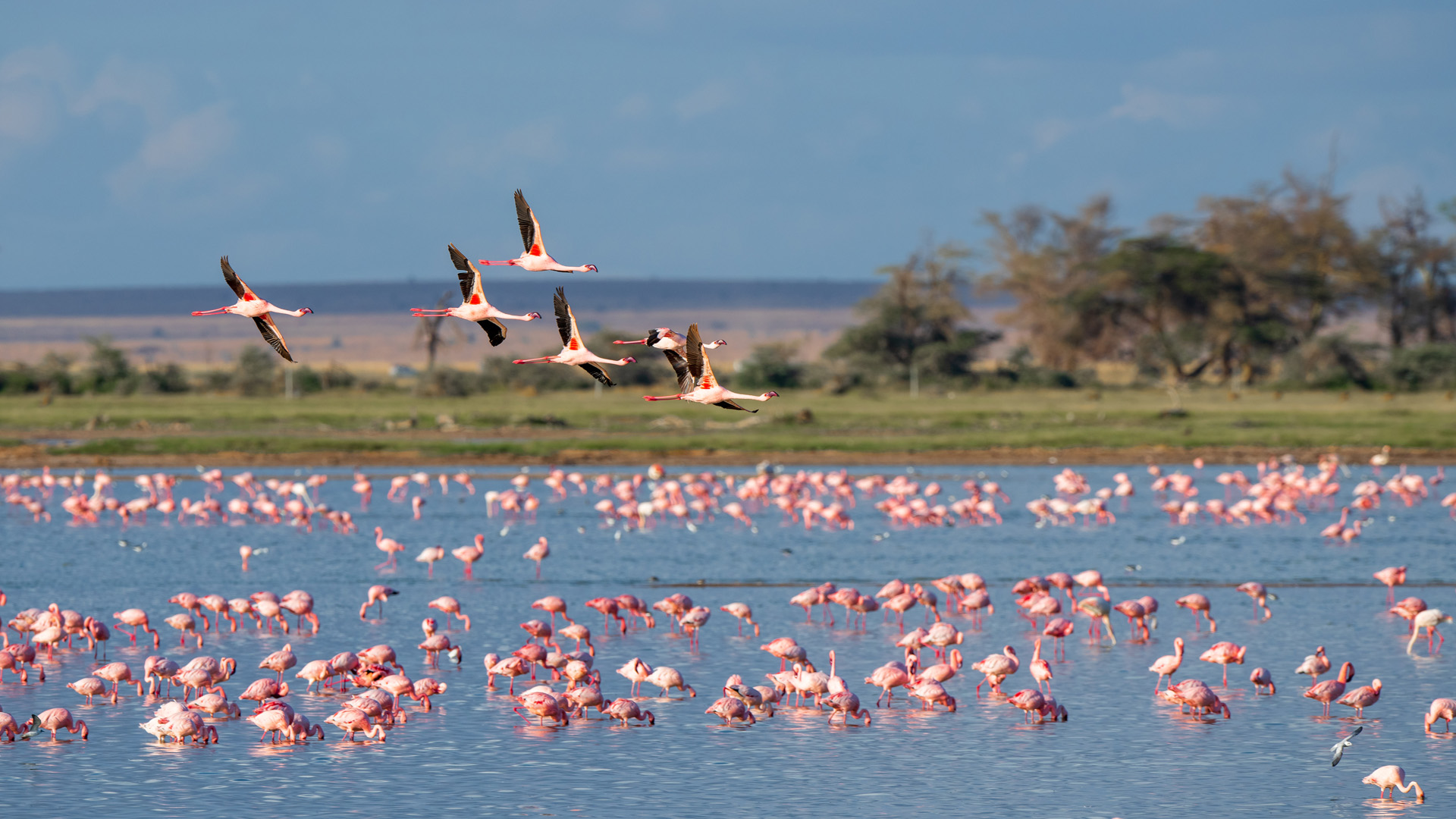 Manyara National Park