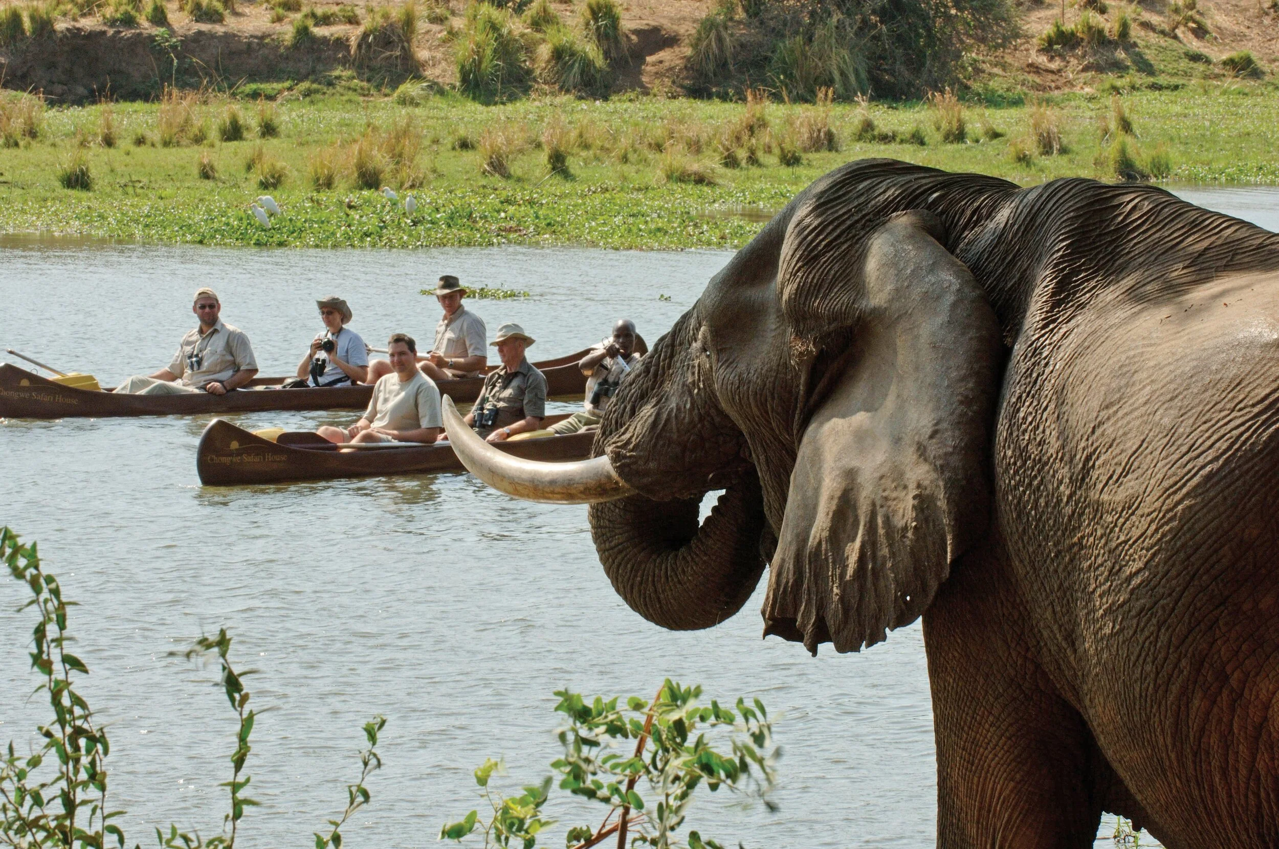Chamabondo National Park