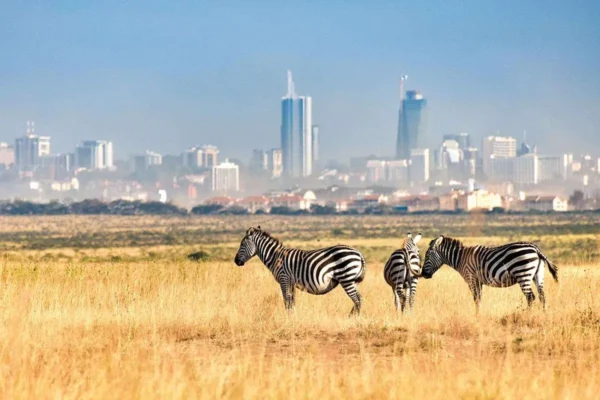 nairobi-national-park01 nairobi-national-park01