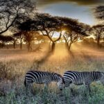 Serengeti National Park