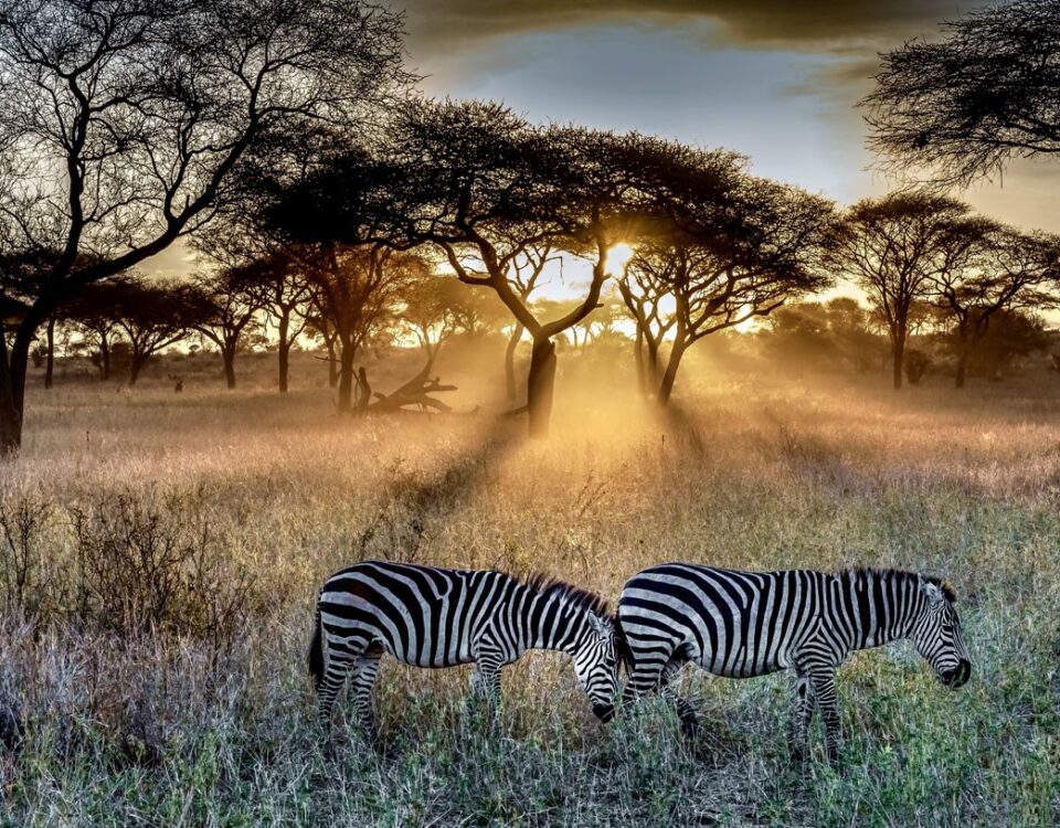 Serengeti National Park