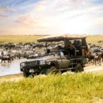 Serengeti